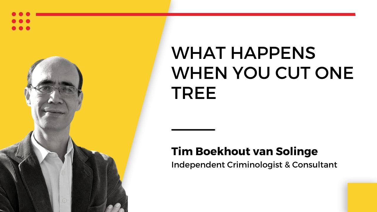 Tim Boekhout van Solinge, Independent criminologist & consultant